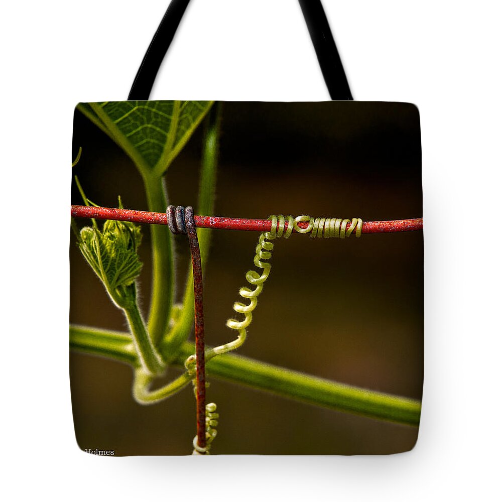Wire Tote Bag featuring the photograph Mimic by Christopher Holmes
