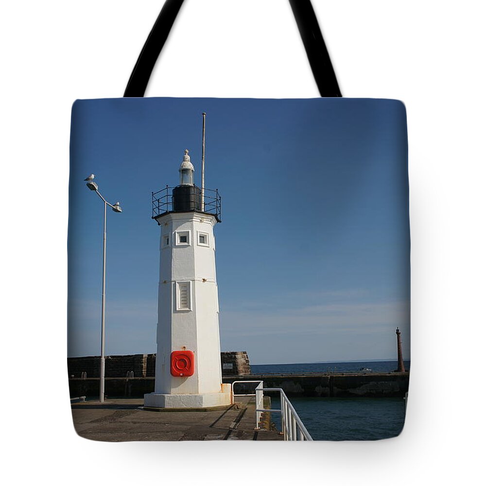 Lighthouse Tote Bag featuring the photograph Mimicking a lighthouse by Elena Perelman