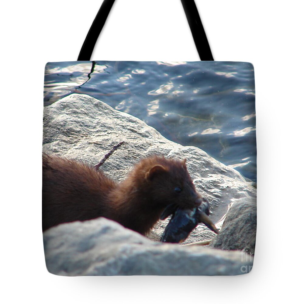 American Mink Tote Bag featuring the photograph Mink with a Round Goby by Randy J Heath
