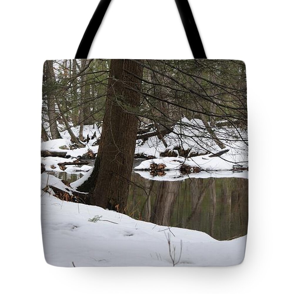 Landscape Tote Bag featuring the photograph Mirror Mirror by Jack Harries