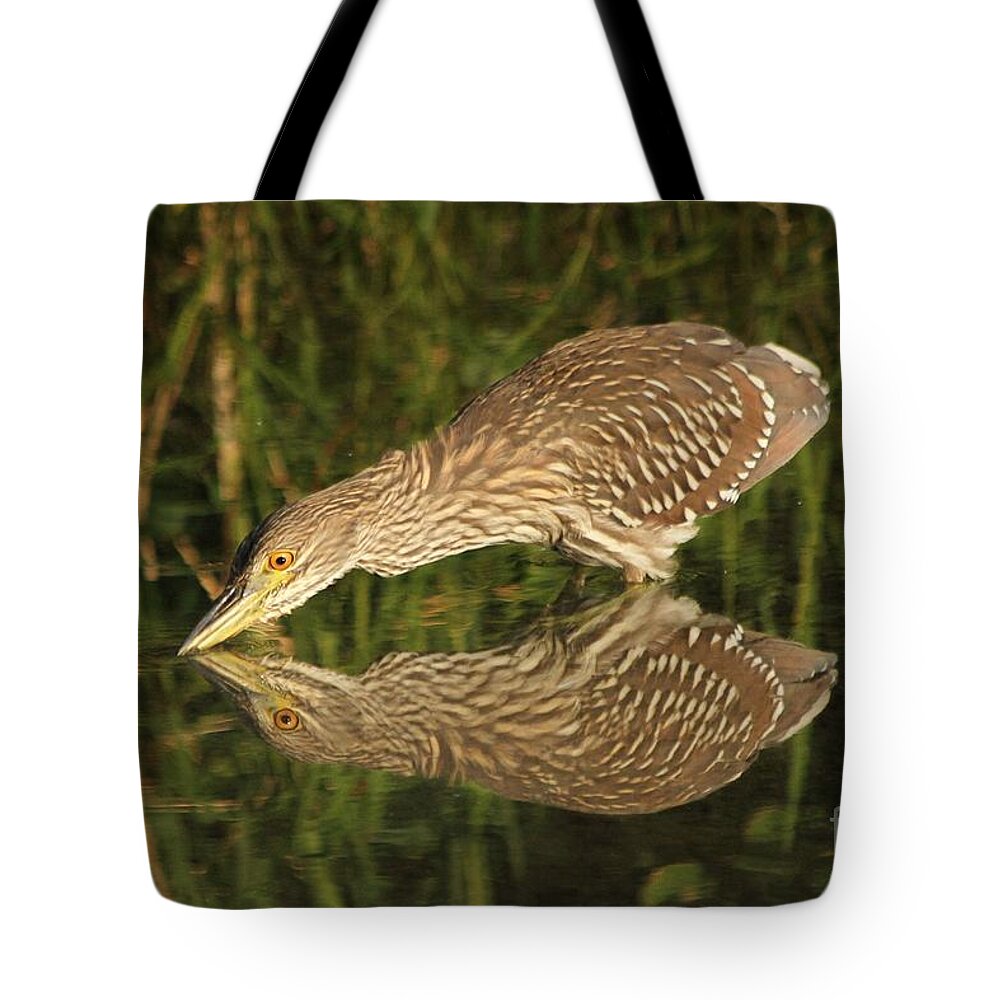 Bird Tote Bag featuring the photograph Mirror mirror on the wall who is the fairest heron of all by Heather King