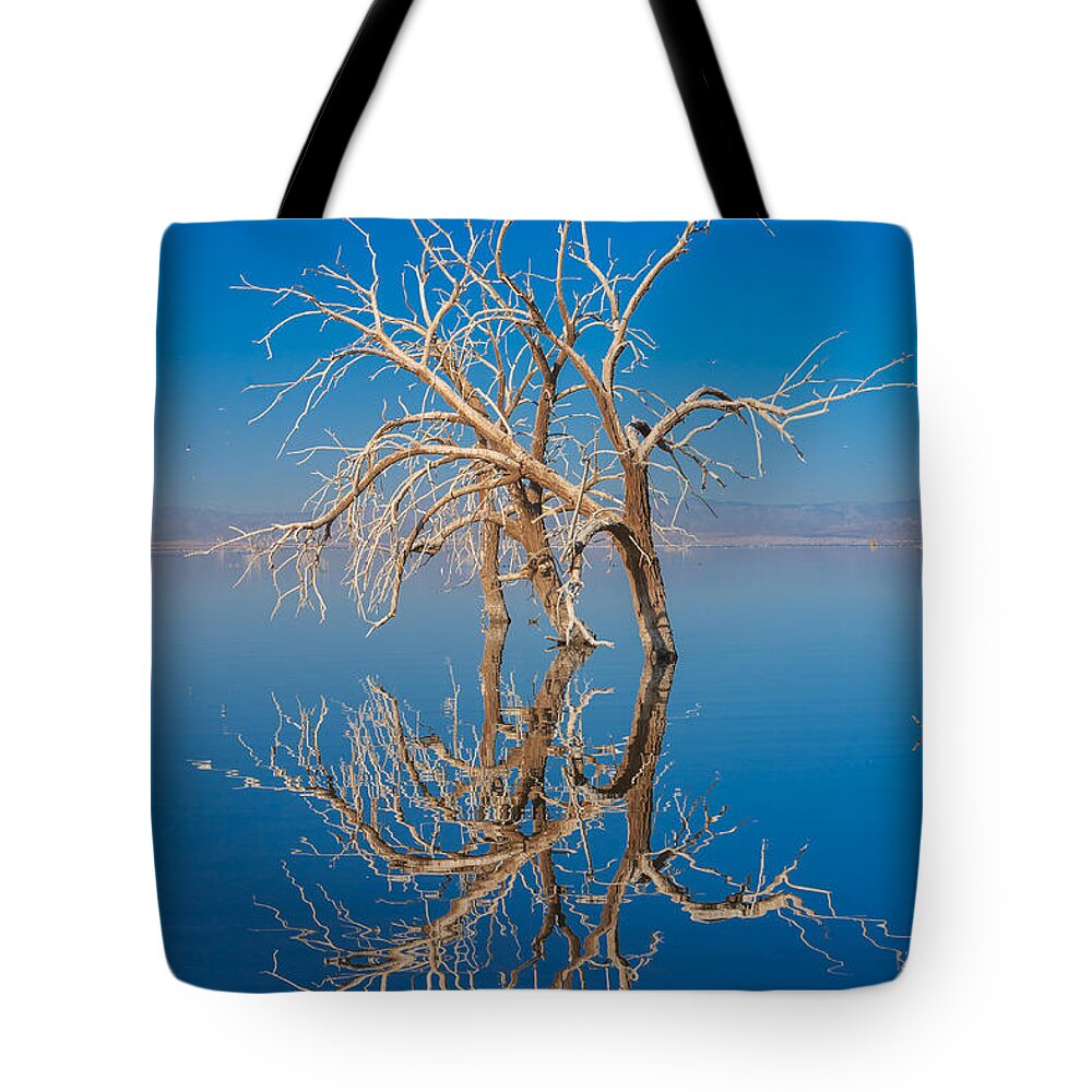 Salton Sea Tote Bag featuring the photograph Mirror Mirror by Scott Campbell