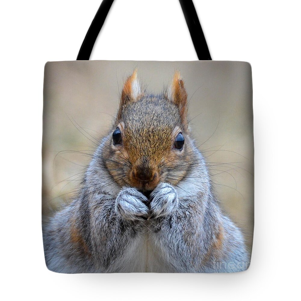 Grey Squirrel Tote Bag featuring the photograph Mister Whiskers by Amy Porter