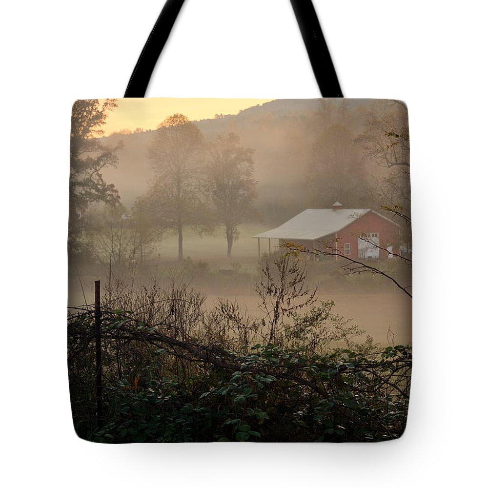 Nature Tote Bag featuring the photograph Misty Morn And Horse by Kathy Barney