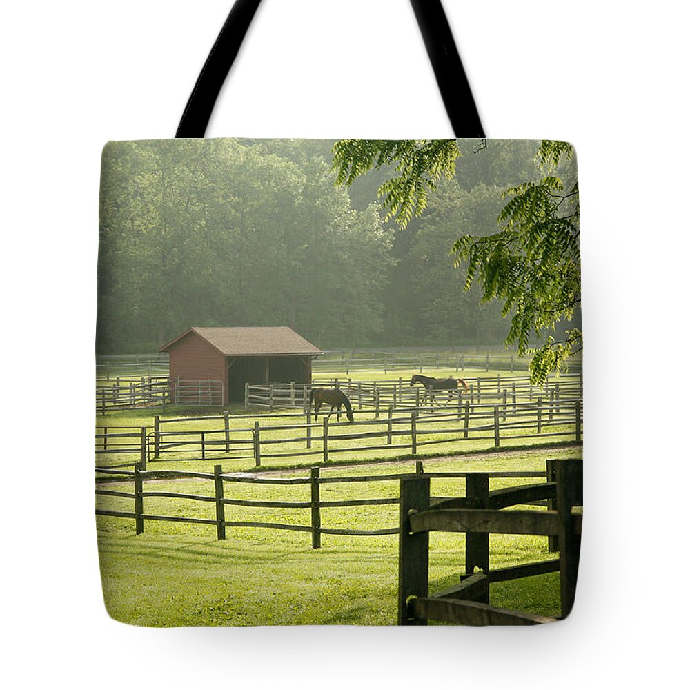 Horses Tote Bag featuring the photograph Misty Morning Maze by Carol Lynn Coronios