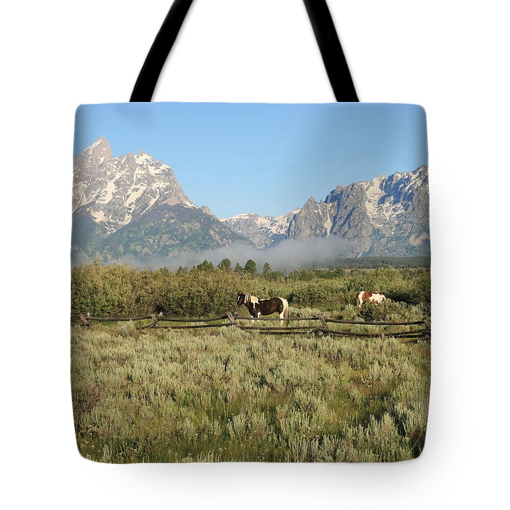 Grand Tetons Tote Bag featuring the photograph Misty Morning by Natural Focal Point Photography