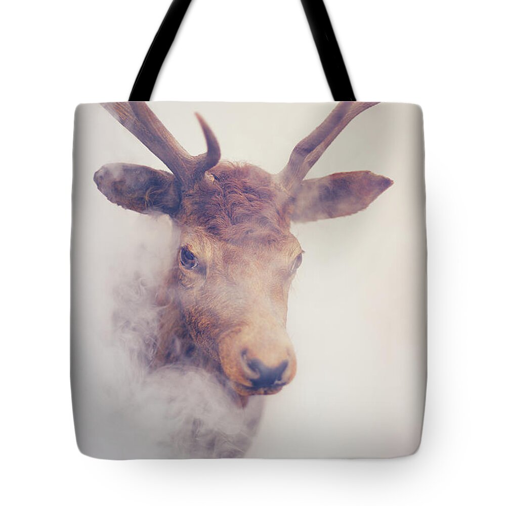 Spooky Tote Bag featuring the photograph Misty Stags Head by Christopher Hope-fitch