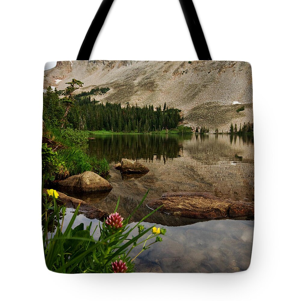 Landscapes Tote Bag featuring the photograph Mitchell Lake Reflections by Ronda Kimbrow
