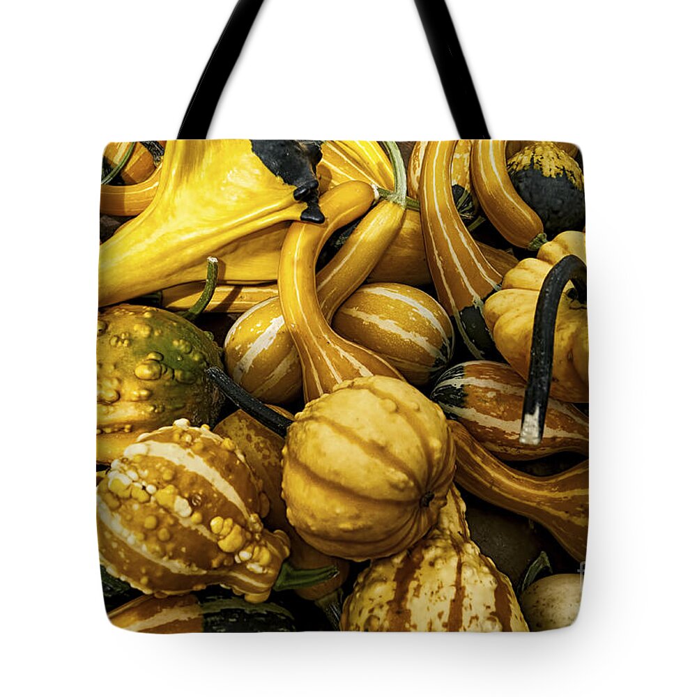 Gourds Tote Bag featuring the photograph Mixed Gourds by Mark Miller