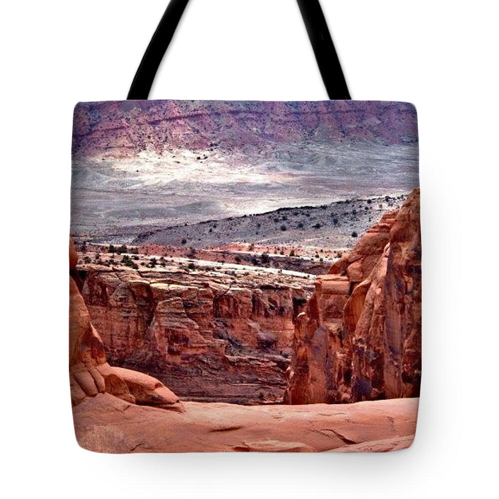 Utah Tote Bag featuring the photograph Moab by Rona Black