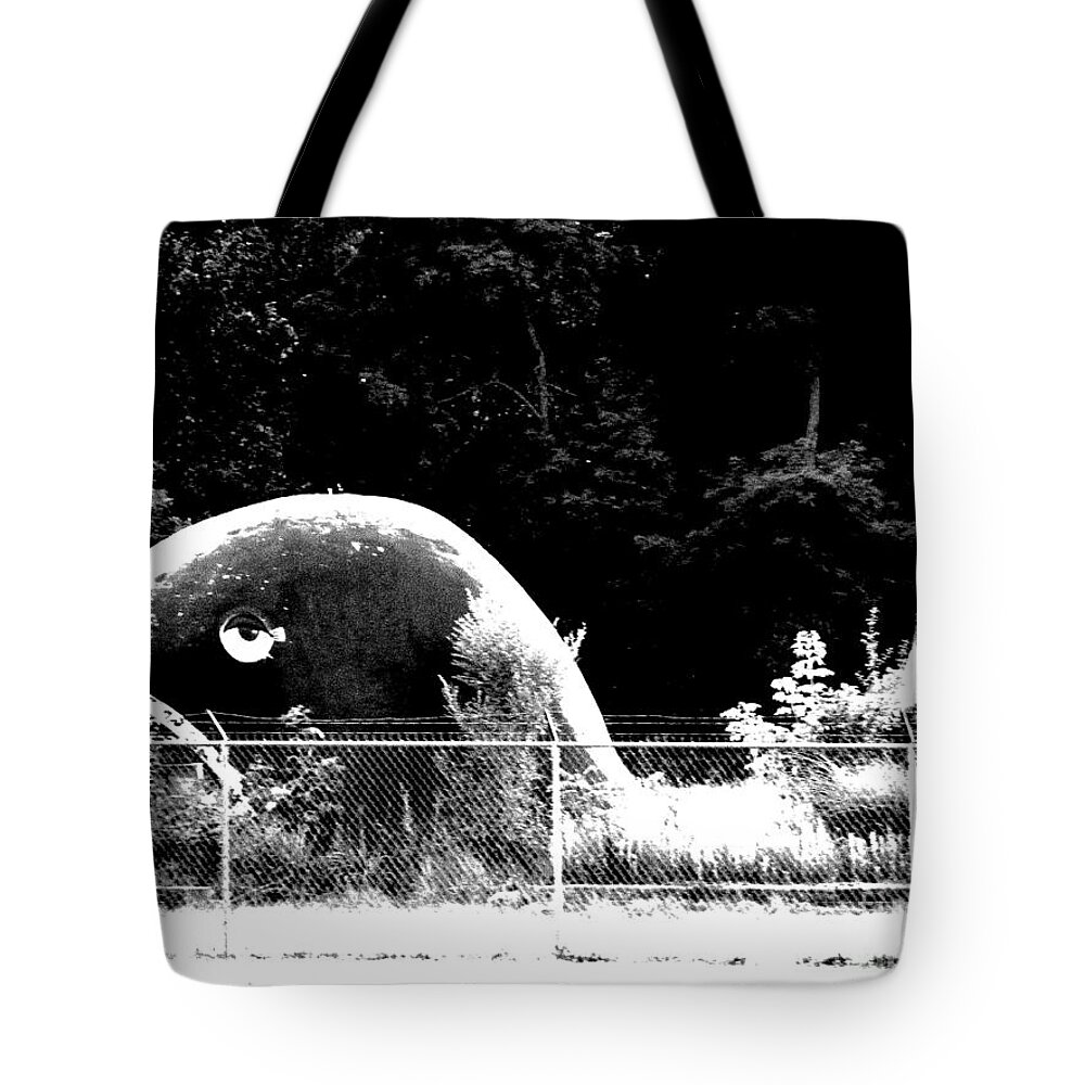 Whales Tote Bag featuring the photograph Moby Dick by Michael Krek