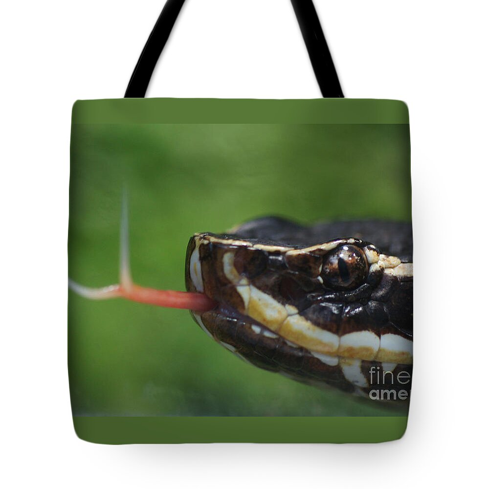 Nature Tote Bag featuring the photograph Moccasin Snake by Rudi Prott