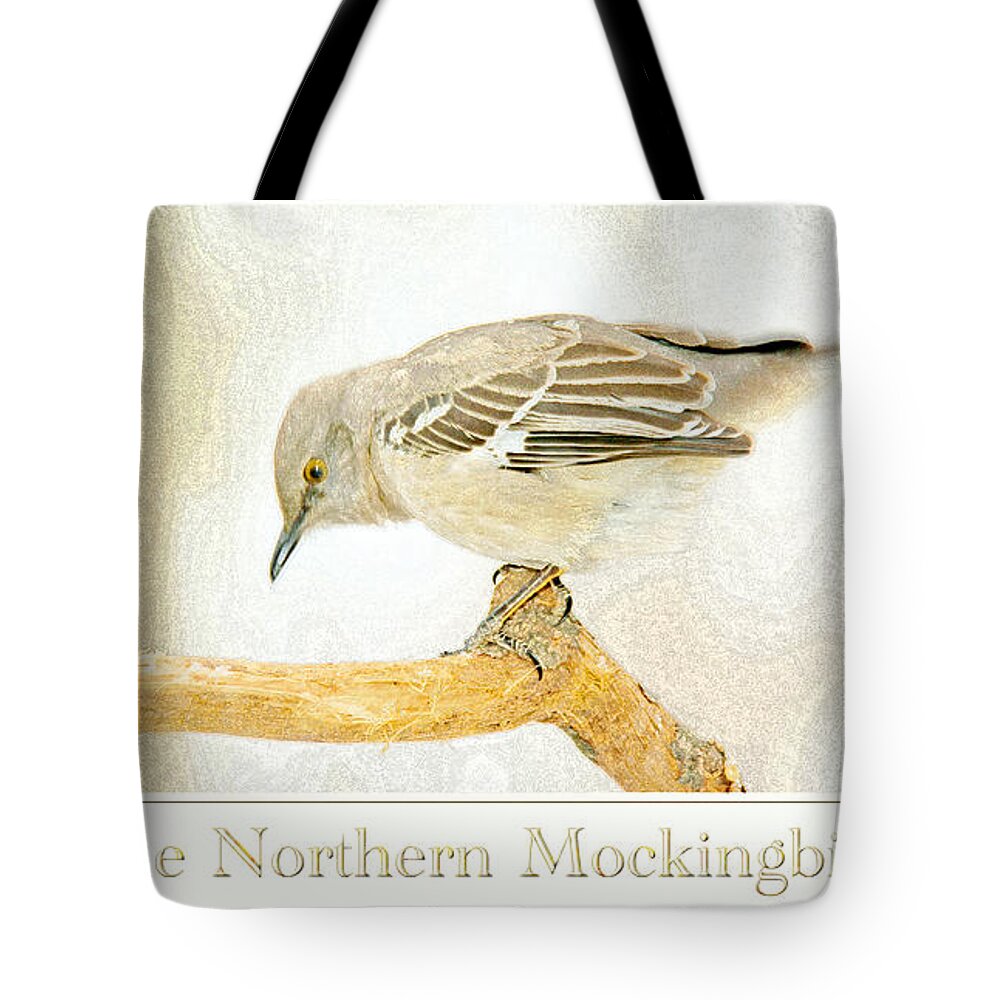 Biology Tote Bag featuring the digital art Mockingbird in Winter Digital Painting by A Macarthur Gurmankin