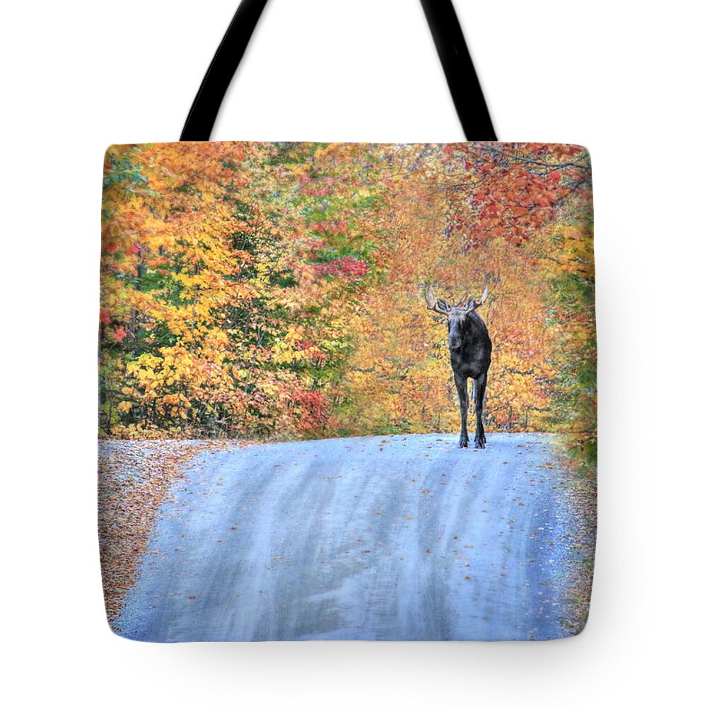 Sneffy Tote Bag featuring the photograph Moments That Take Our Breath Away - No Text by Shelley Neff