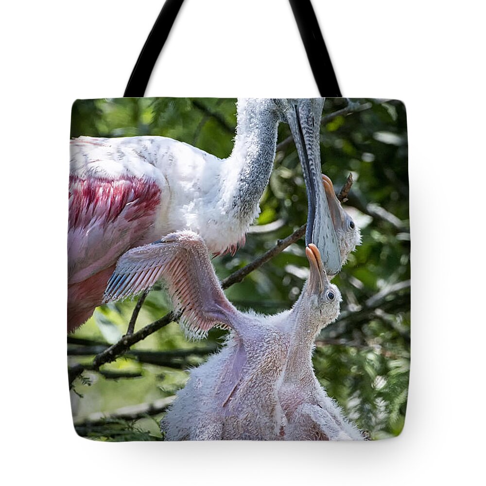 Crystal Yingling Tote Bag featuring the photograph Momma by Ghostwinds Photography