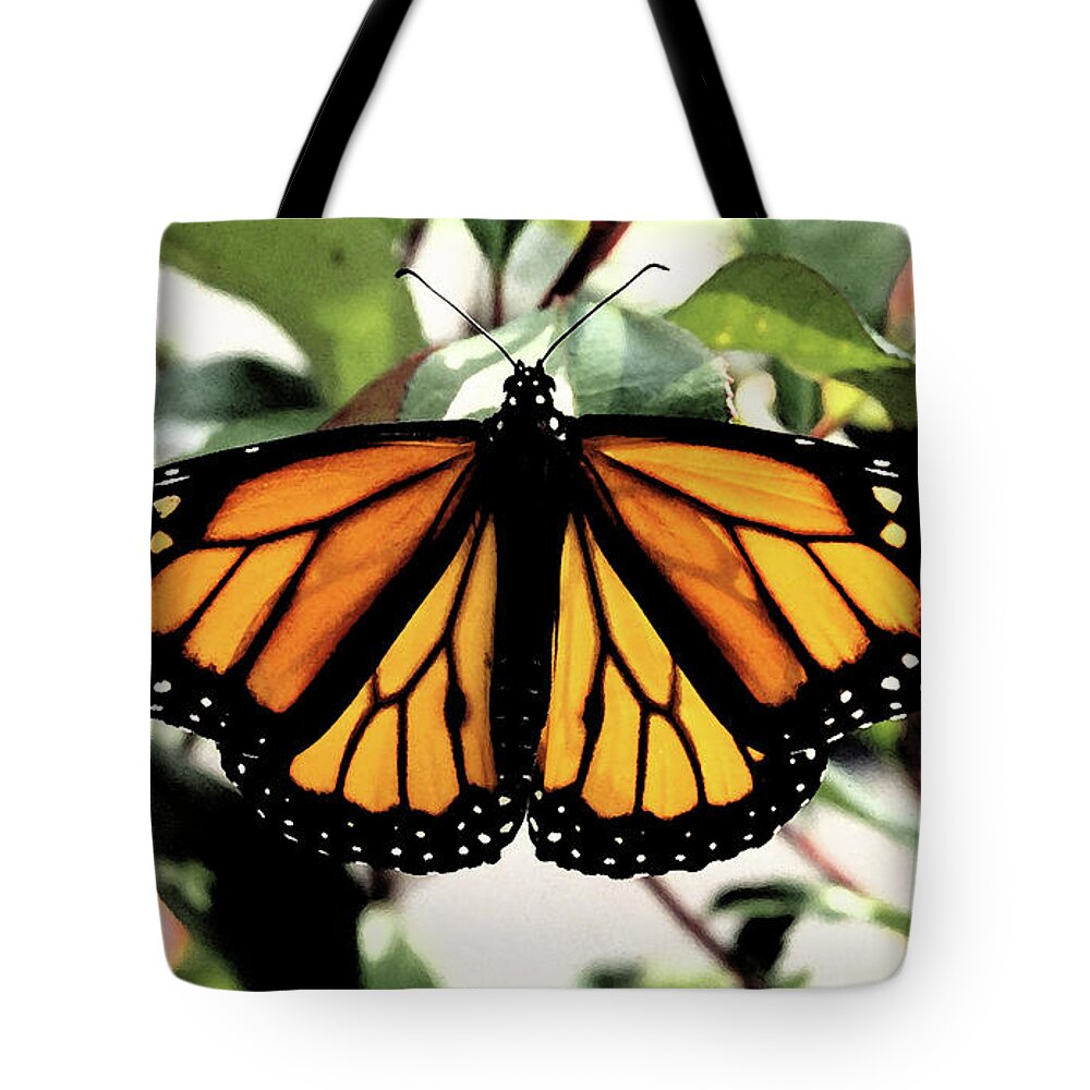 Monarch Tote Bag featuring the photograph Monarch Beauty by Denise Beverly