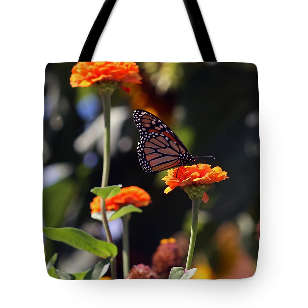 Monarch Butterfly Tote Bag featuring the photograph Monarch Butterfly And Orange Zinnias by Kay Novy