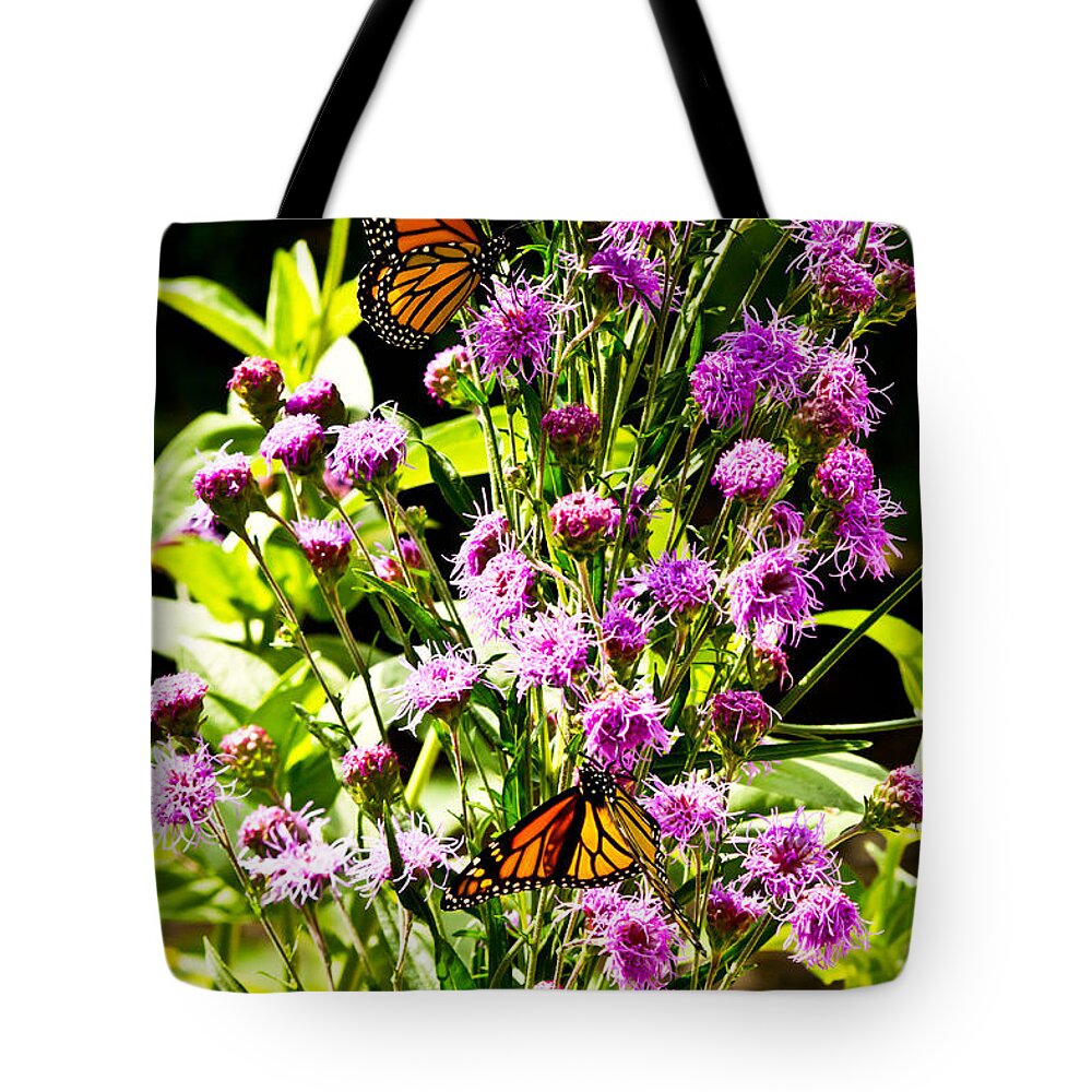 Butterfly Tote Bag featuring the photograph Monarch Butterfly Couple by Ms Judi
