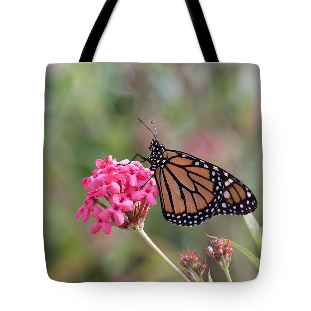 Nature Tote Bag featuring the photograph Monarch Butterfly by Kim Hojnacki
