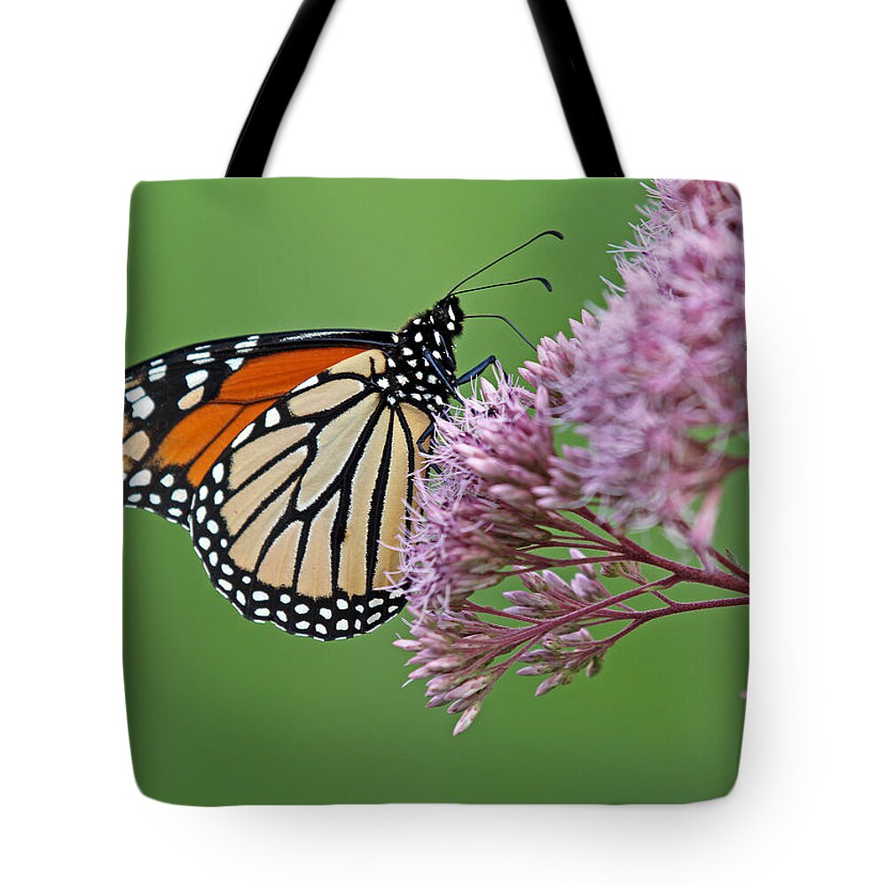 Monarch Tote Bag featuring the photograph Monarch Butterfly Photography by Juergen Roth