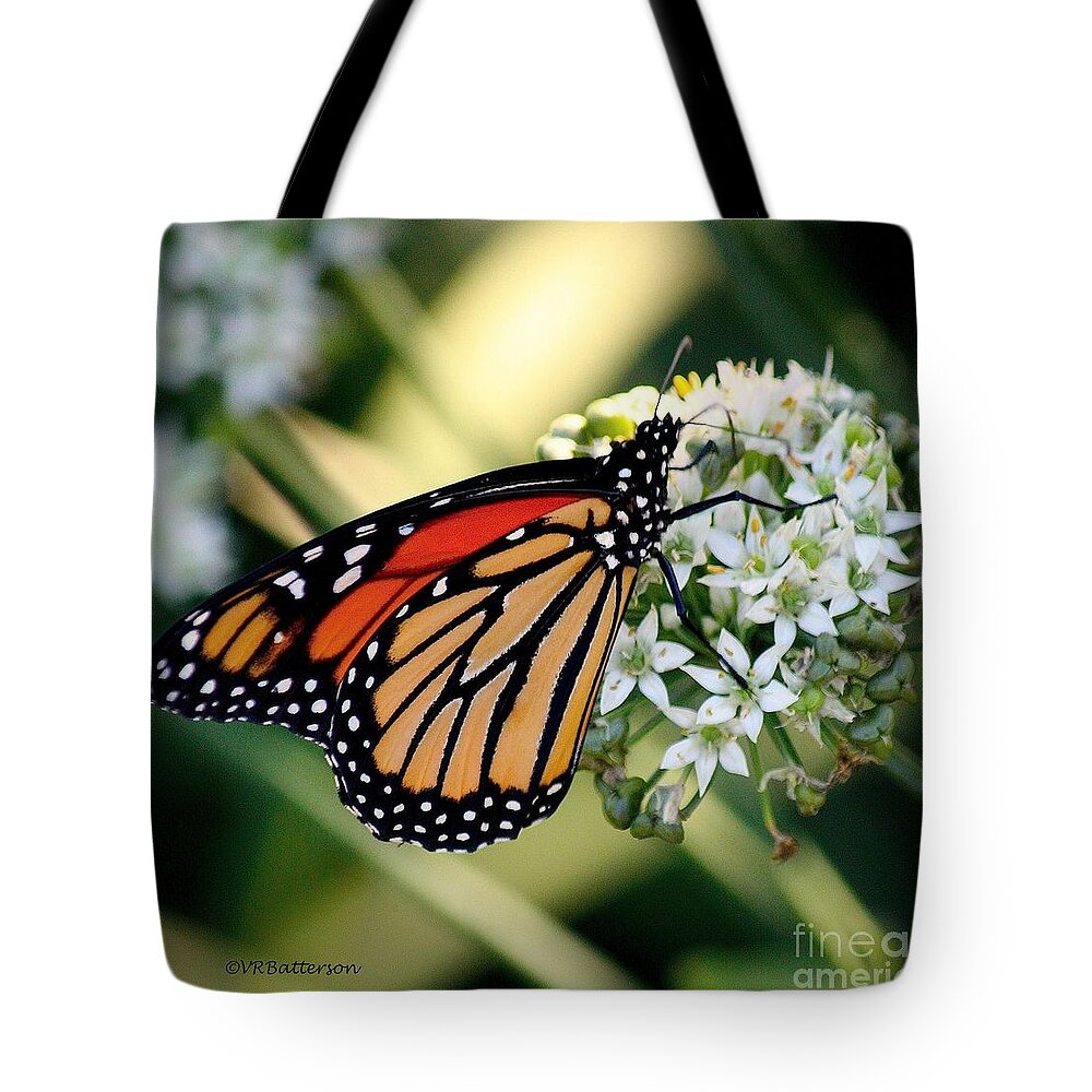 Butterfly Tote Bag featuring the photograph Monarch Butterfly by Veronica Batterson
