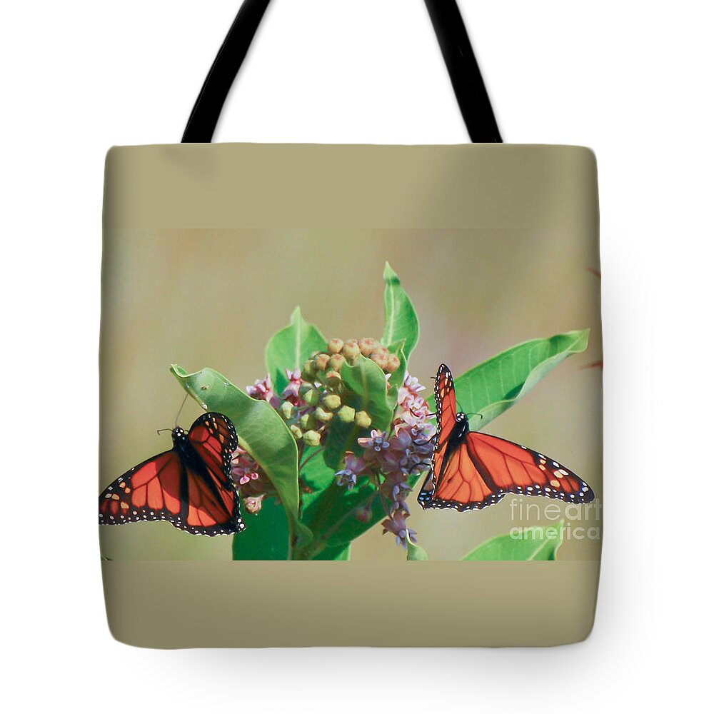 Monarch Butterfly Gathering Tote Bag featuring the photograph Monarch Gathering by Kerri Farley