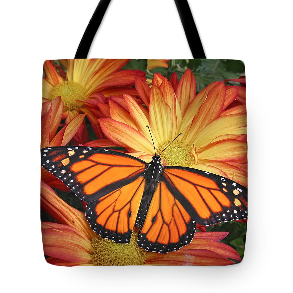 Butterfly Tote Bag featuring the photograph Monarch on His Throne by David and Carol Kelly