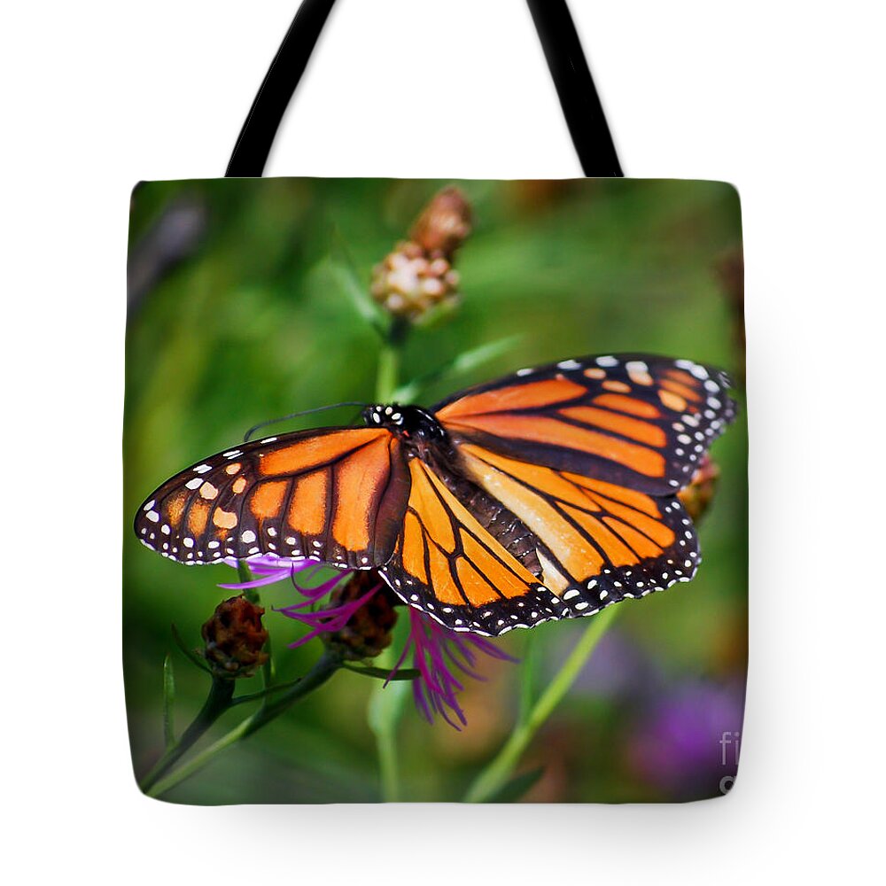 Monarch Butterfly Wings Tote Bag featuring the photograph Monarch Wings by Kerri Farley