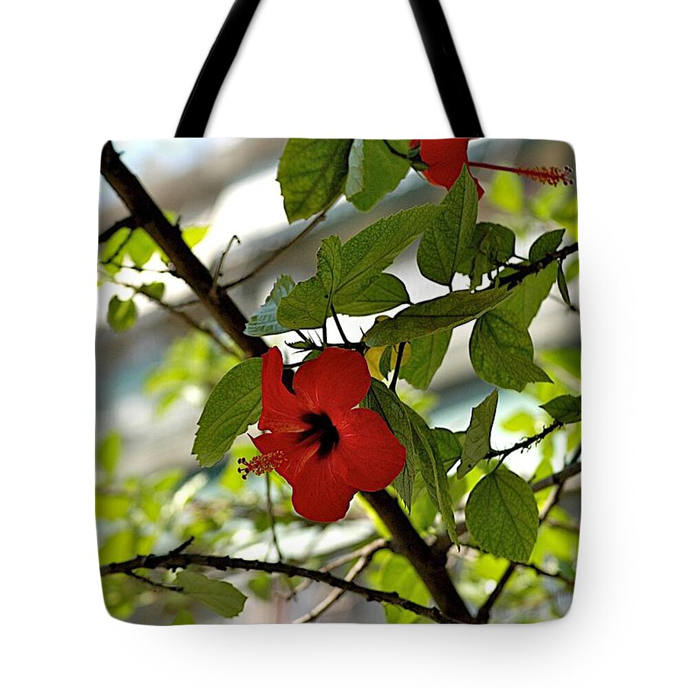 Croatia Tote Bag featuring the photograph Monastery by Joseph Yarbrough