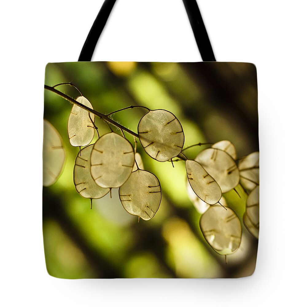 Backlit Tote Bag featuring the photograph Money on Trees by Christi Kraft