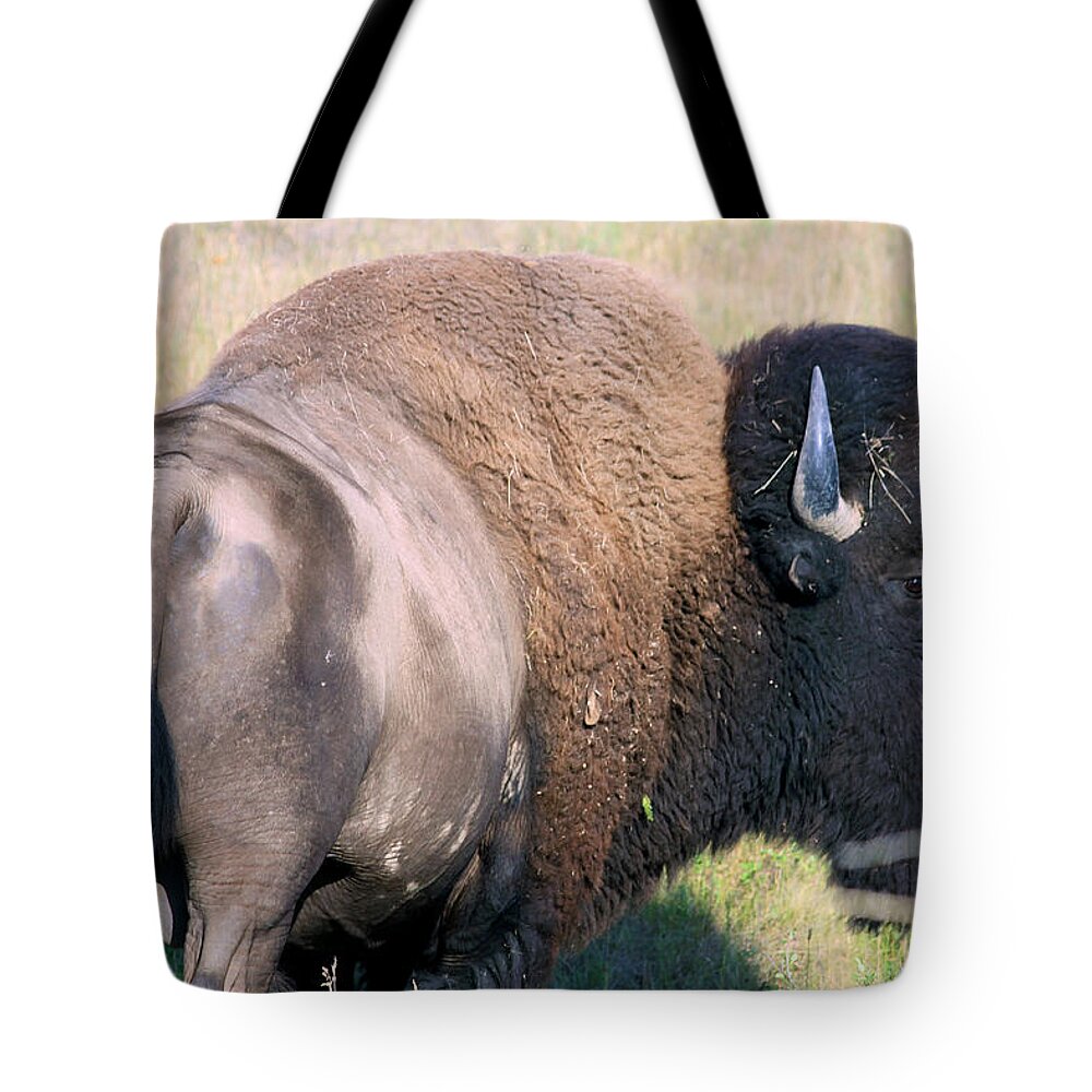 Bison Tote Bag featuring the photograph Montana BUFFALO BISON BULL by Karon Melillo DeVega