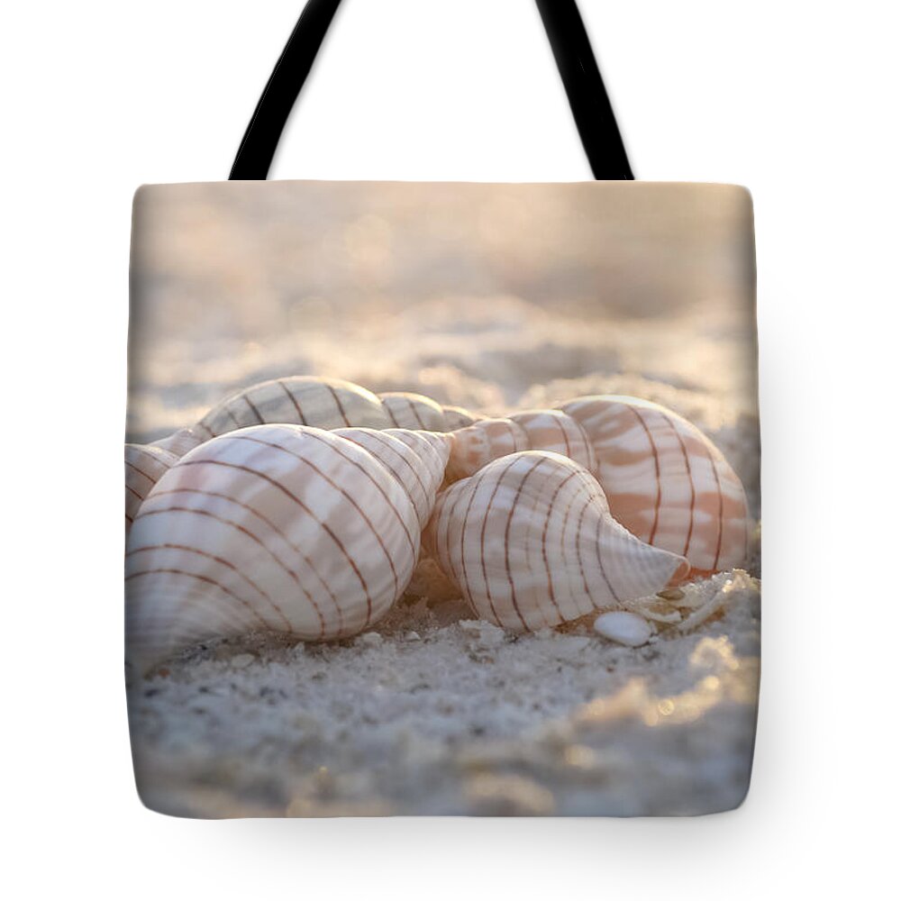 Seashore Tote Bag featuring the photograph Mood to Moment by Melanie Moraga