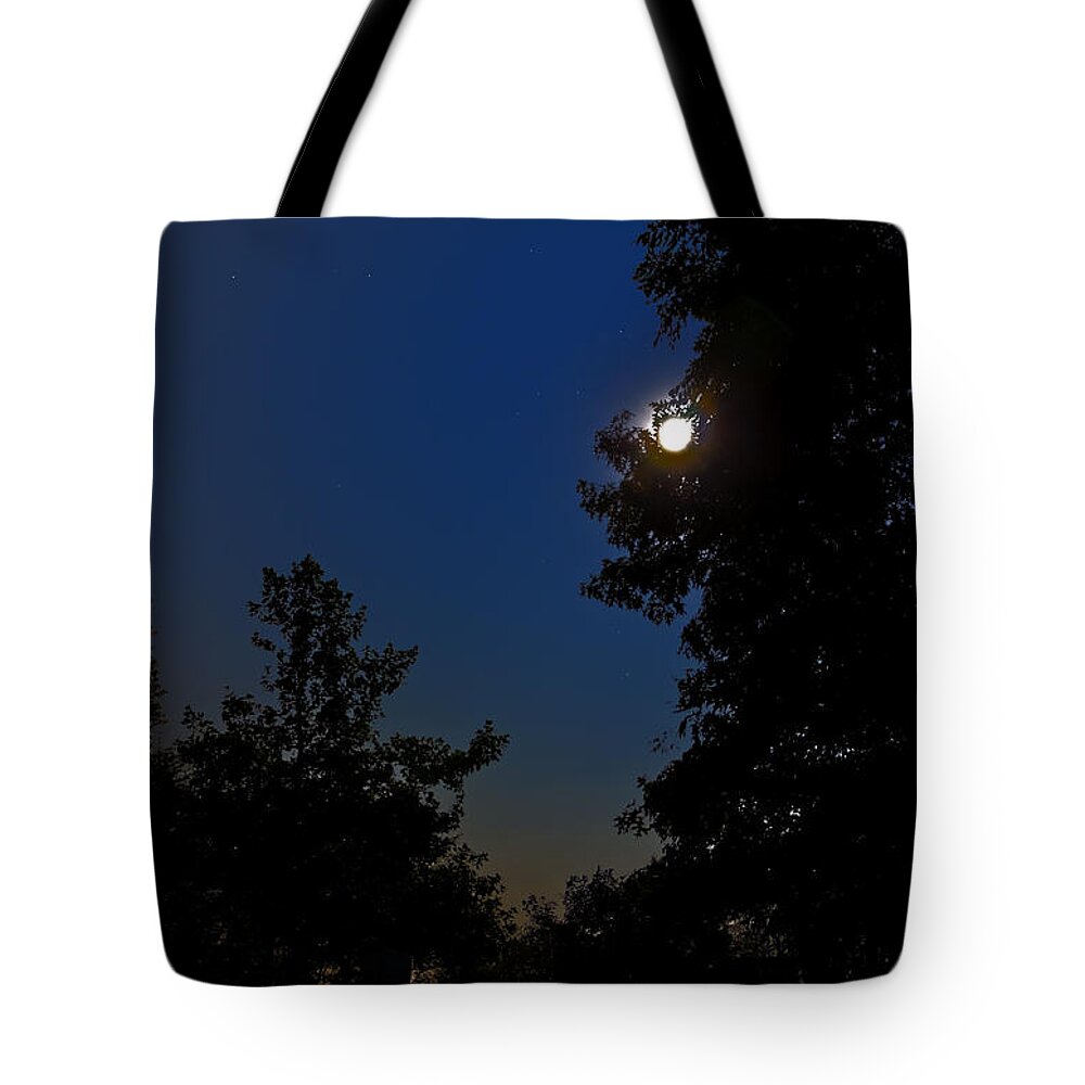 Constellation Tote Bag featuring the photograph Moon and Pegasus by Greg Reed