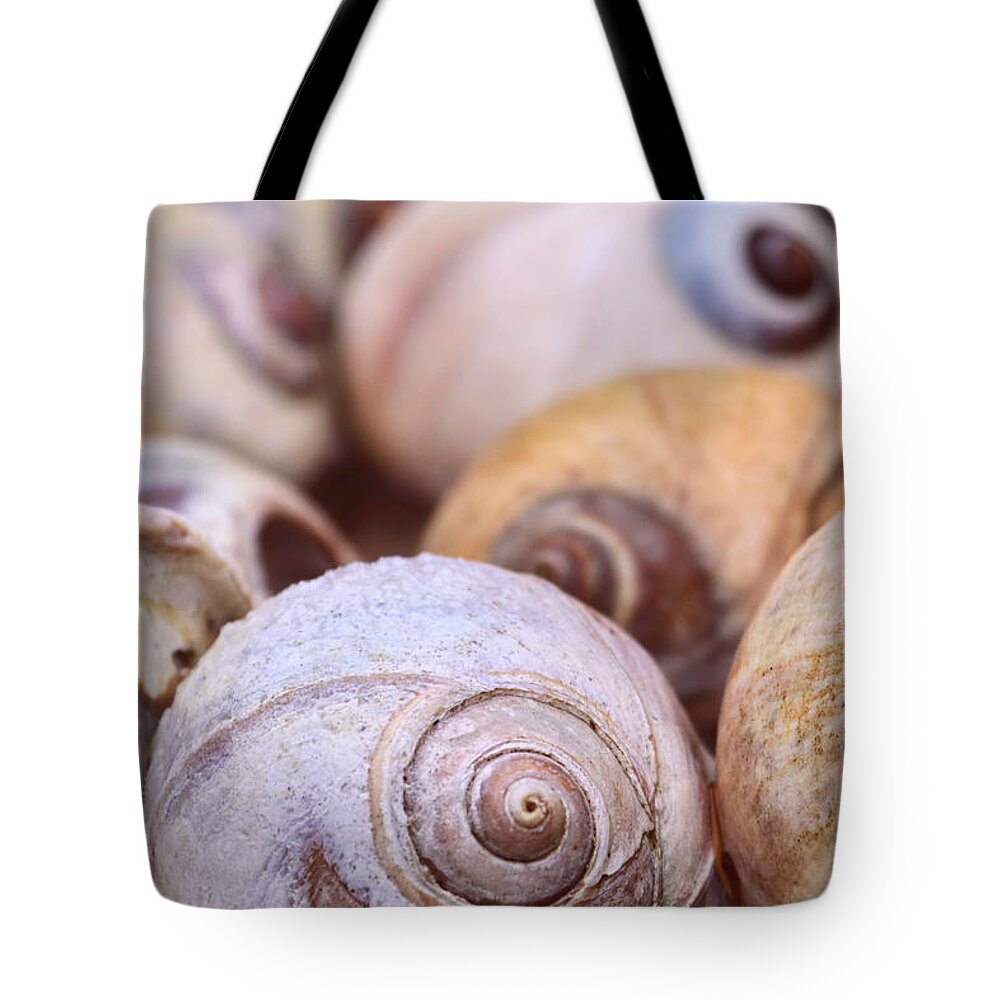 Shells Tote Bag featuring the photograph Moon Snail Shells by Peggy Collins