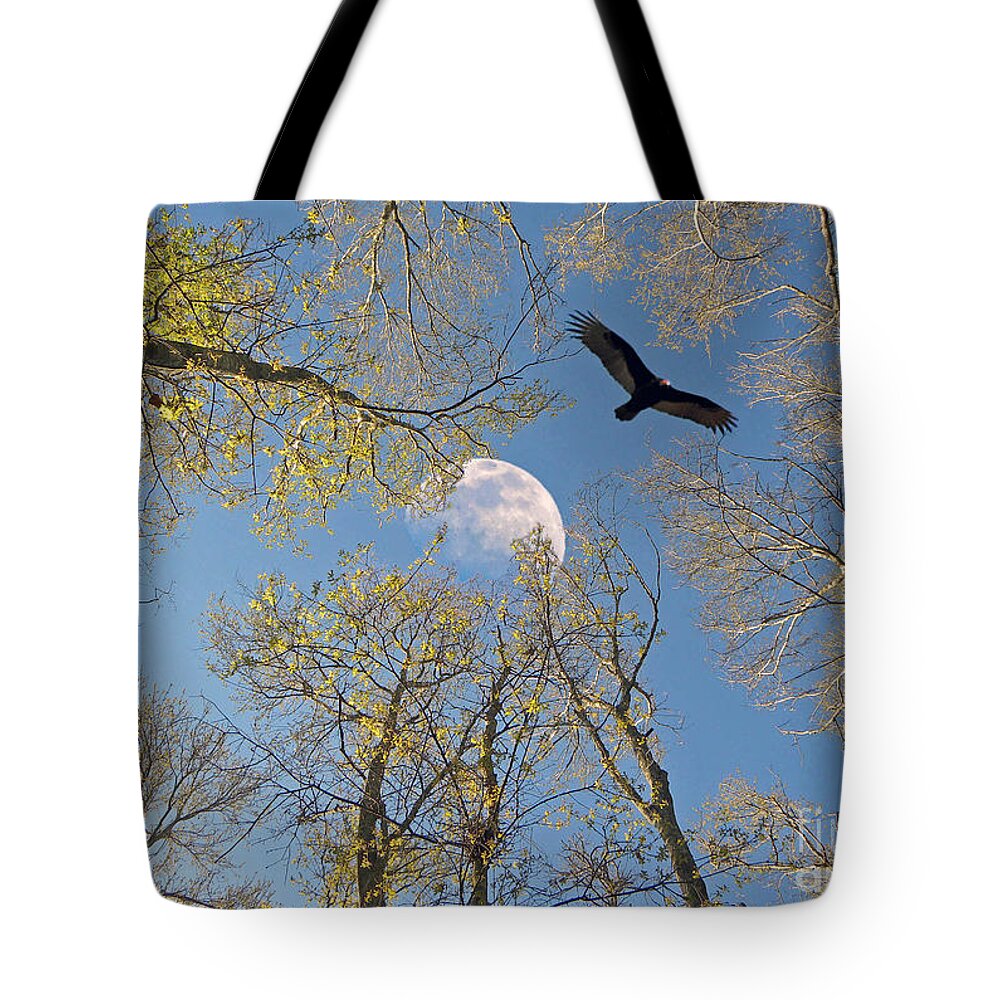 Moon Tote Bag featuring the photograph Moon Trees by Savannah Gibbs