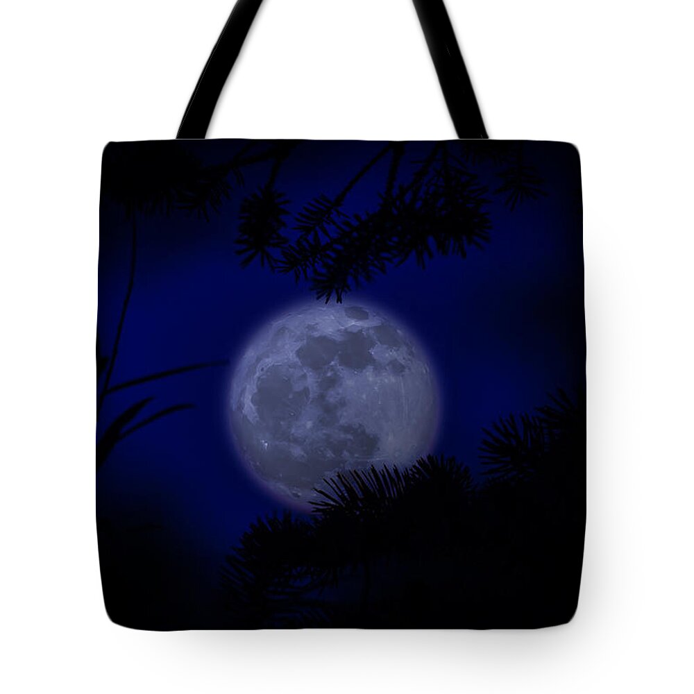 Silhouette Tote Bag featuring the photograph Moonlit Silhouettes by Rick Bartrand