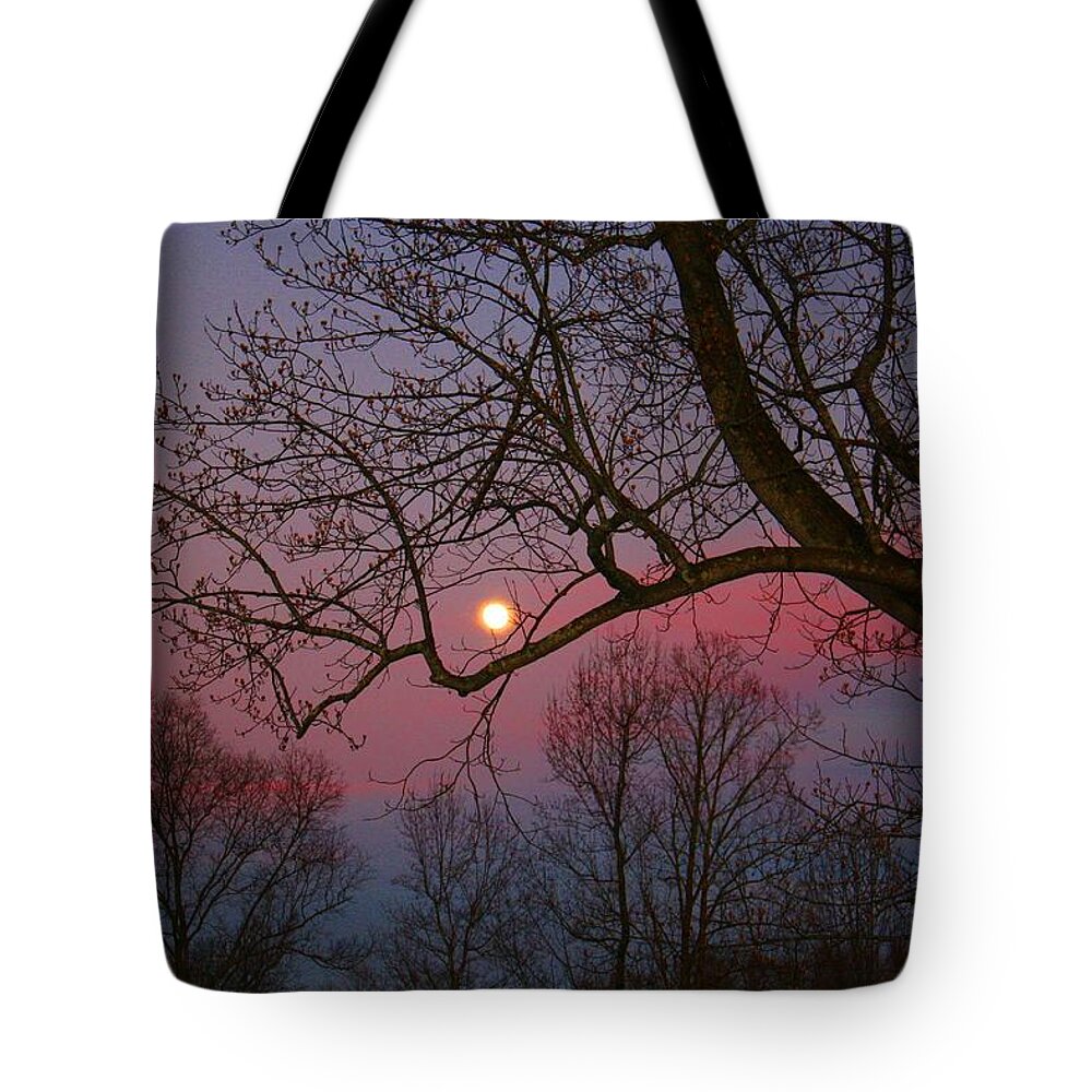 Moon Tote Bag featuring the photograph Moonrise by Kathryn Meyer