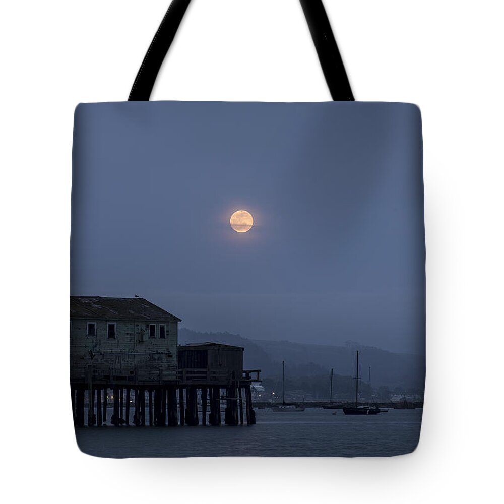 Moon Tote Bag featuring the photograph Moonrise over the Harbor by Alex Lapidus