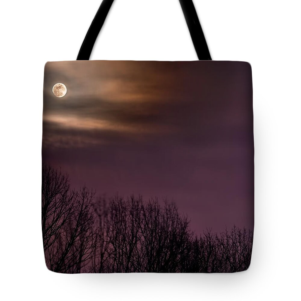 2008 Tote Bag featuring the photograph Moonrise over Weldon Springs by Robert Charity