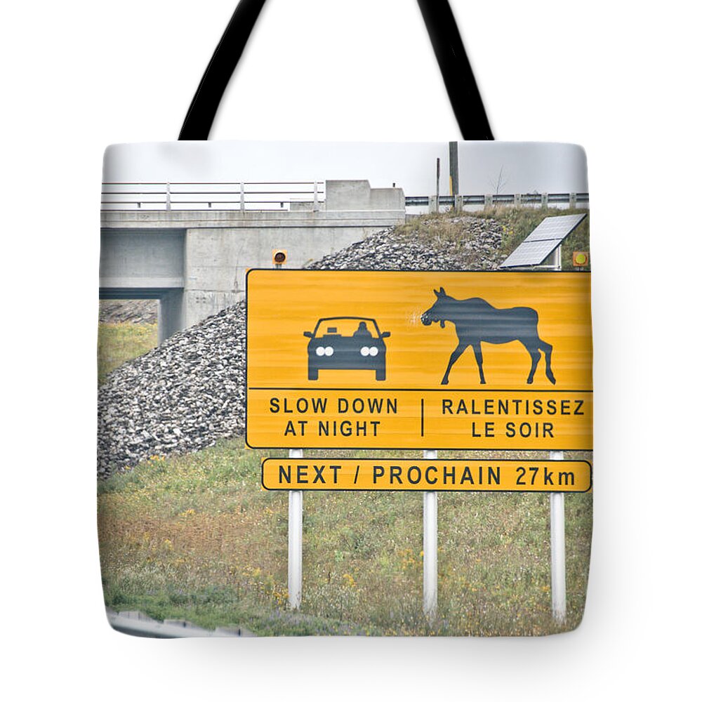  Tote Bag featuring the photograph Moose Crossing by Cheryl Baxter