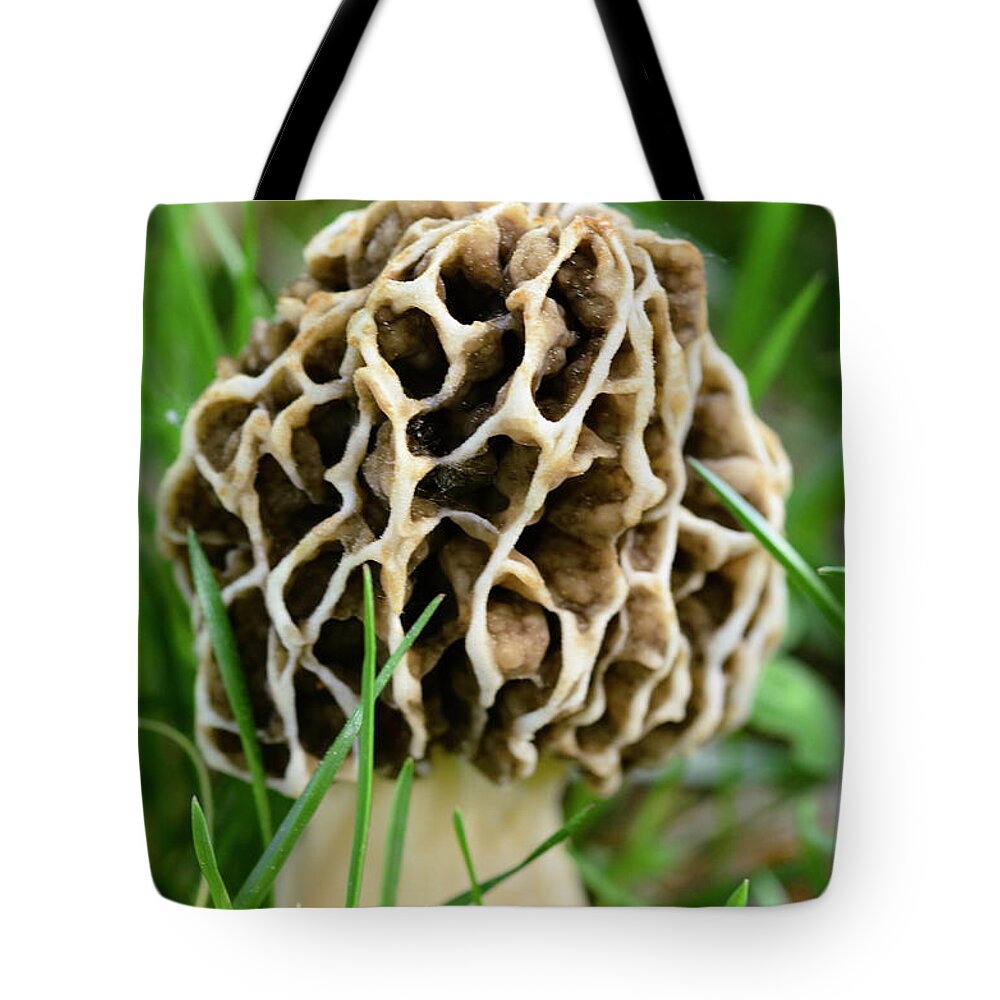 Mushroom Tote Bag featuring the photograph Morel by Crystal Wightman