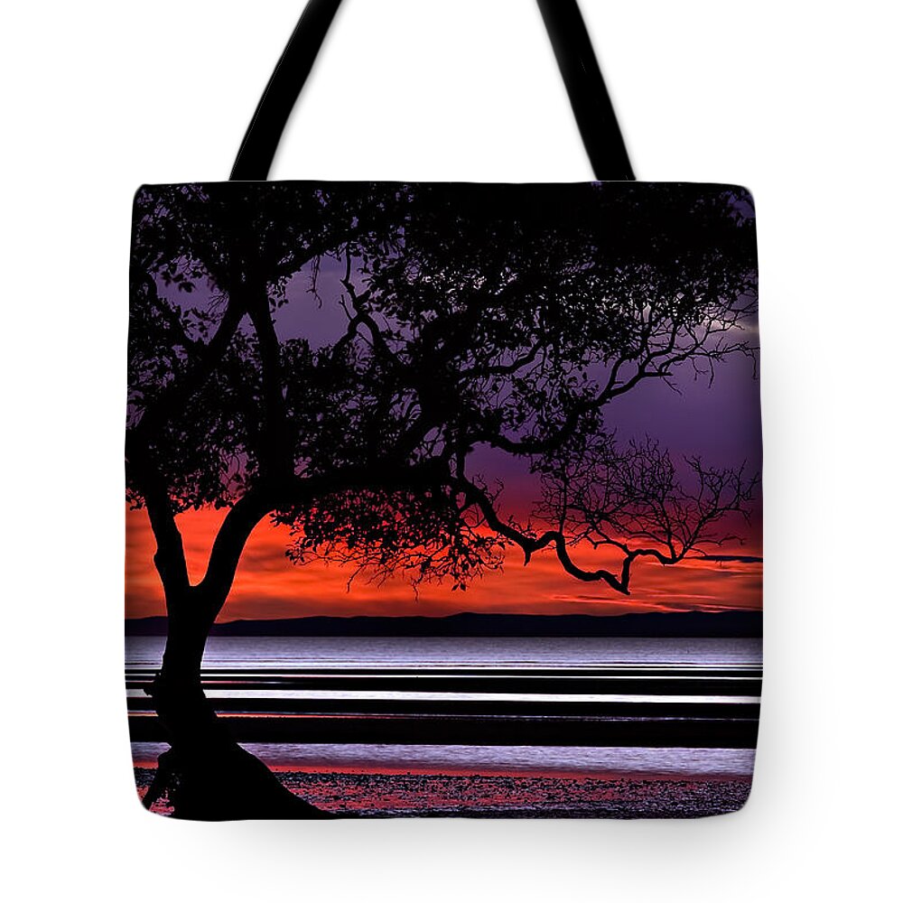 2008 Tote Bag featuring the photograph Moreton Bay View by Robert Charity