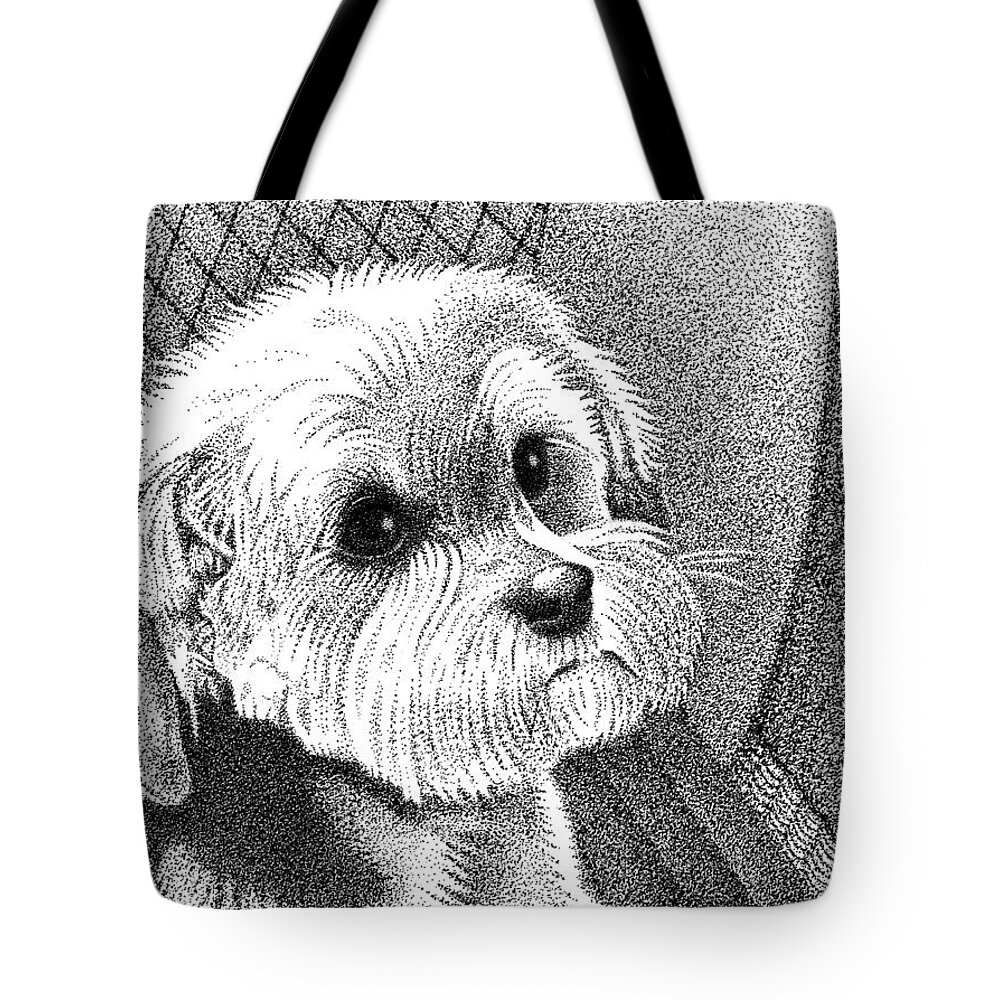 Art Tote Bag featuring the drawing Morkie by Dustin Miller