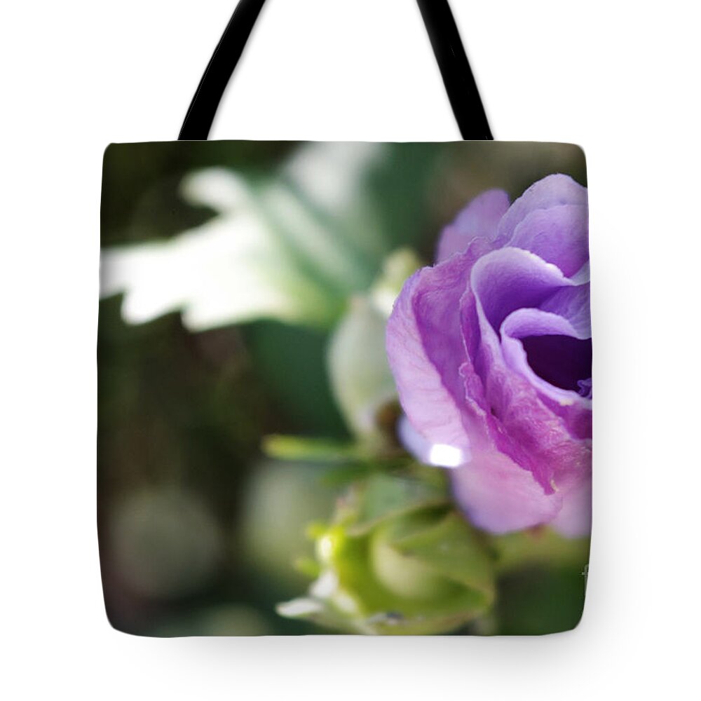  Tote Bag featuring the photograph Morning Blossom by Kara Duffus