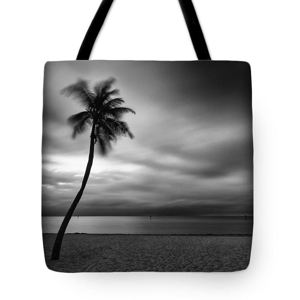 Florida Tote Bag featuring the photograph Morning Breeze by Stefan Mazzola