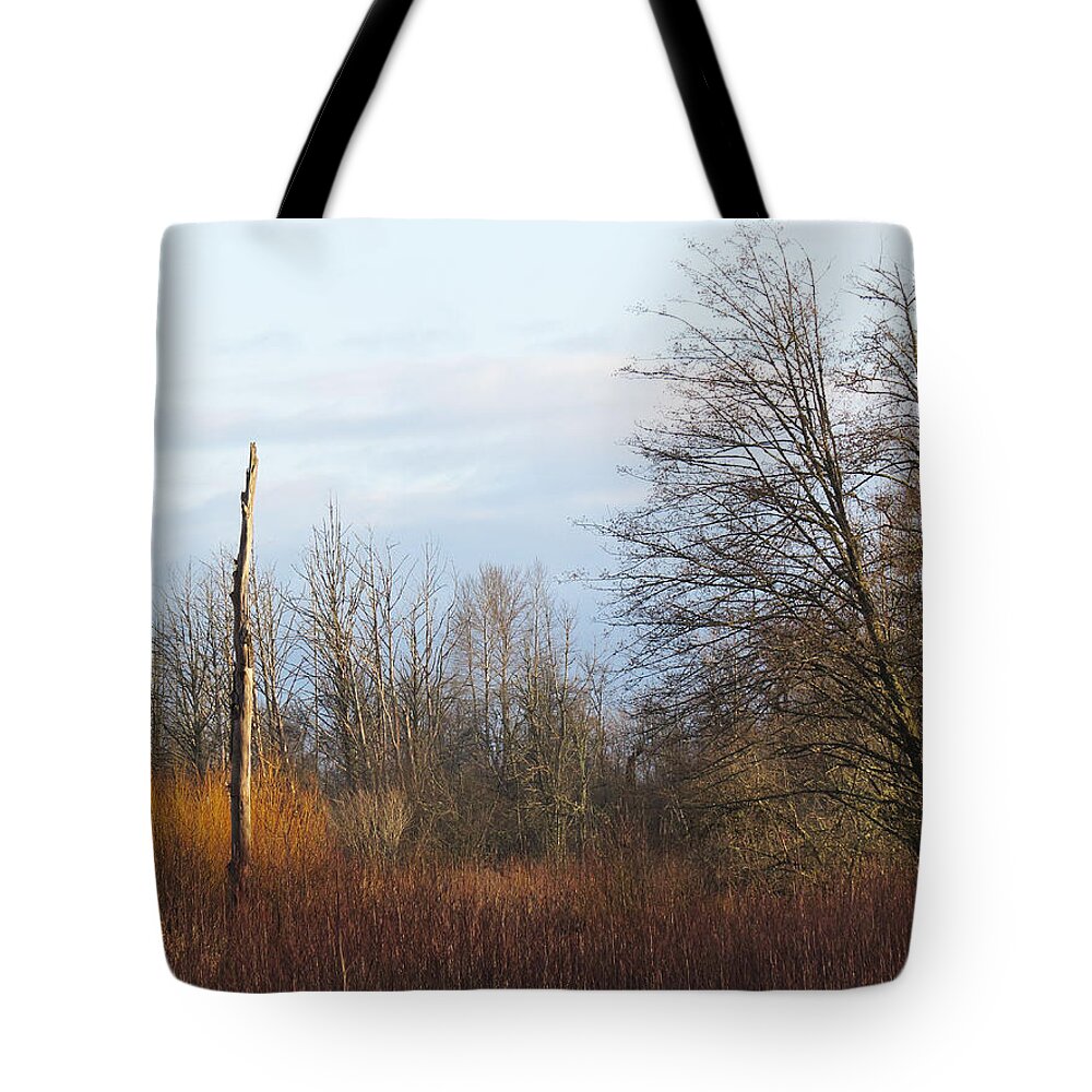 Nature Tote Bag featuring the photograph Morning colors by I'ina Van Lawick