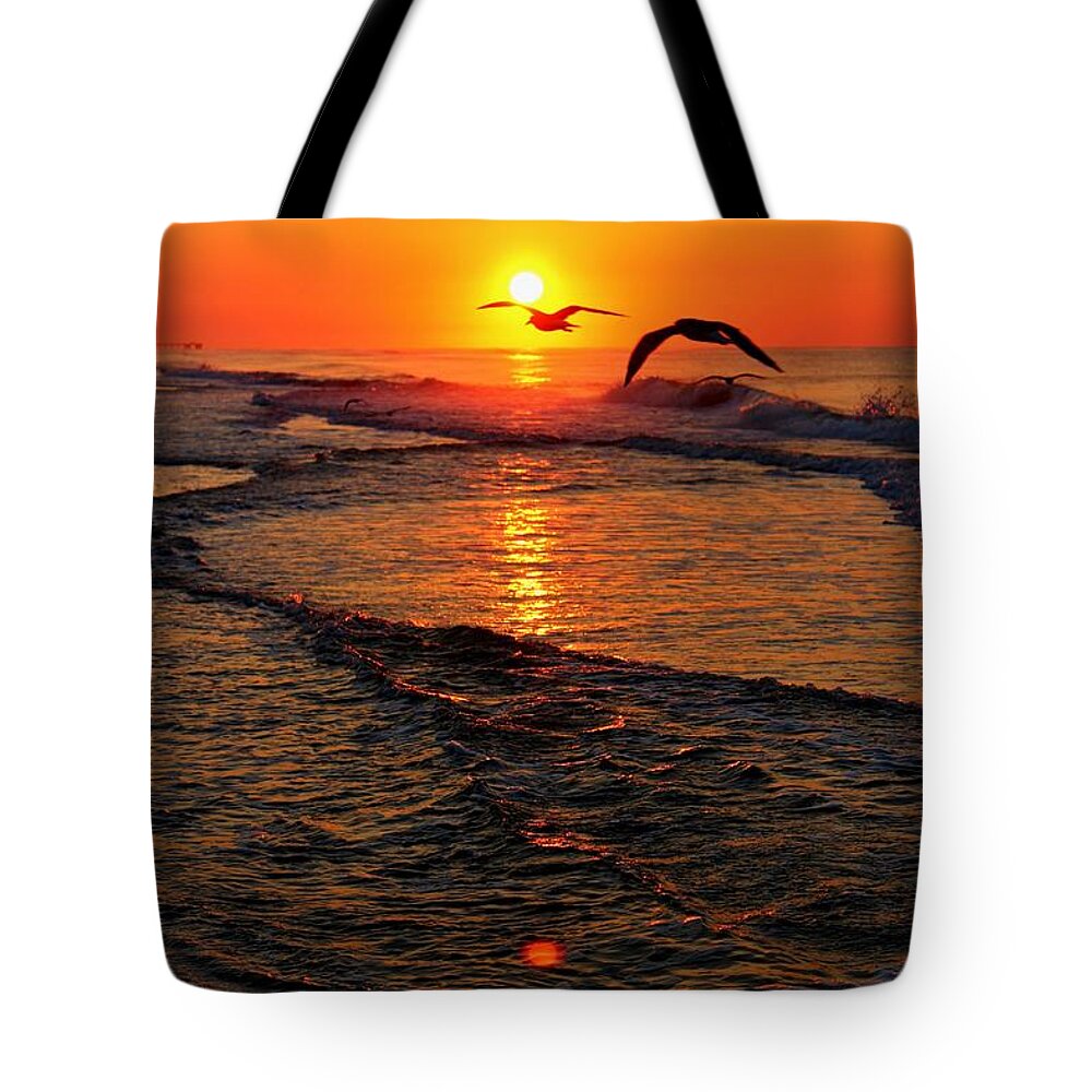 Gull Tote Bag featuring the photograph Morning Commute by David Zarecor