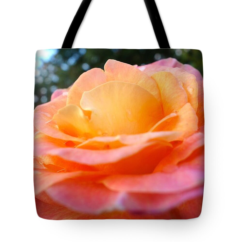  Tote Bag featuring the photograph Morning Dew #3 by Jacqueline Athmann