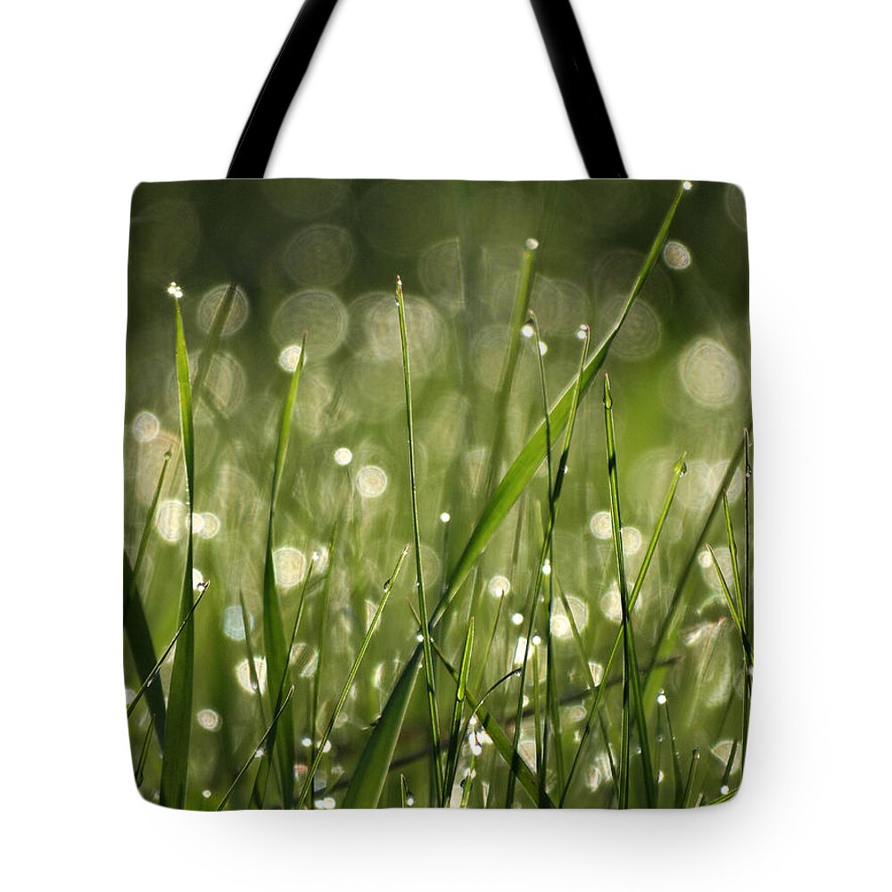 Dew Tote Bag featuring the photograph Morning Dew by David T Wilkinson