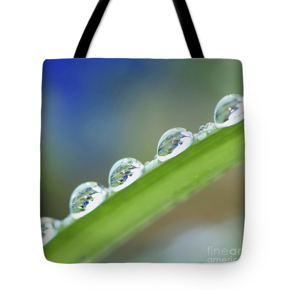 Drop Tote Bag featuring the photograph Morning dew drops by Heiko Koehrer-Wagner